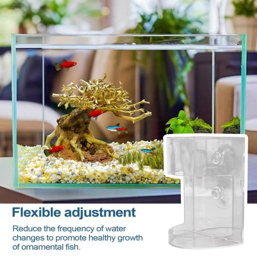 Acryl Aquarium Feeders Ring Zu - Baby Food Shrimp recensie en prijs