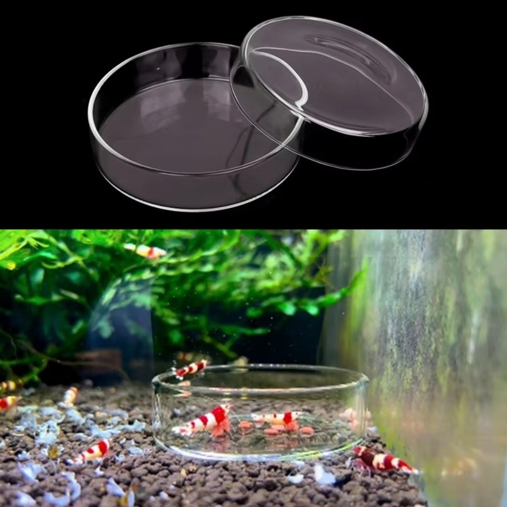 Glazen Aquarium Voerbak Duurza - Baby Food Shrimp recensie en prijs