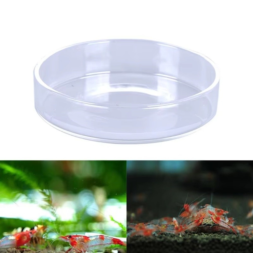 Glazen Aquarium Voerbak Duurza - Baby Food Shrimp recensie en prijs